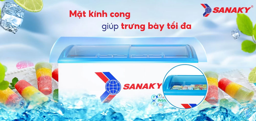 Tủ Đông Sanaky VH-6899K3