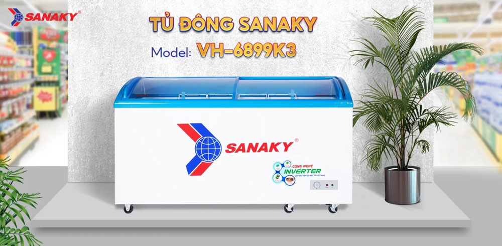 Tủ Đông Sanaky VH-6899K3